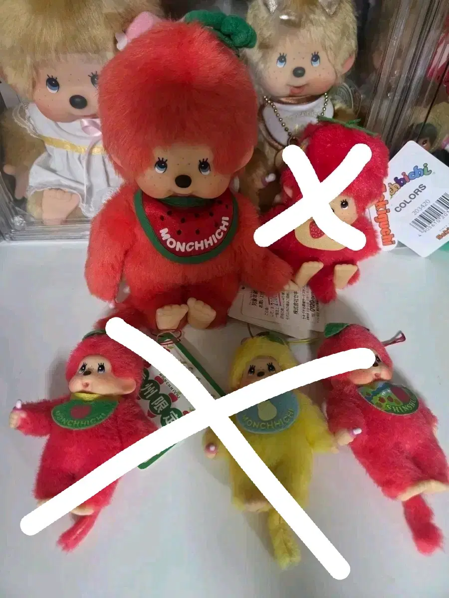 몬치치 과일 지역한정