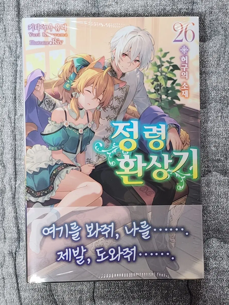 라노벨 정령환상기 26권 초판
