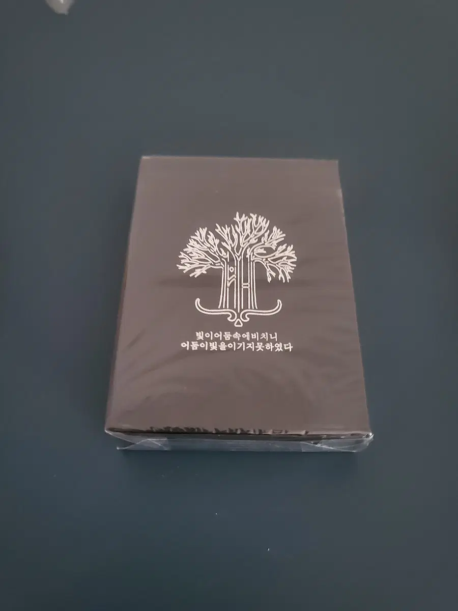 필트레 빛