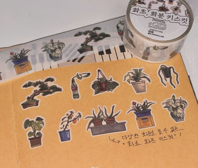 플러피러브클럽 화초, 화분 키스컷 띵