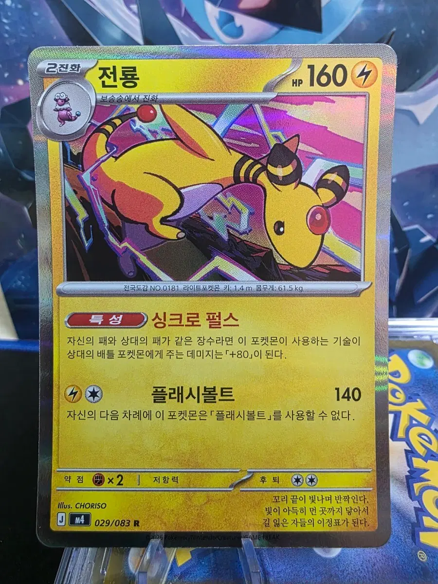 포켓몬카드 홀로 전룡