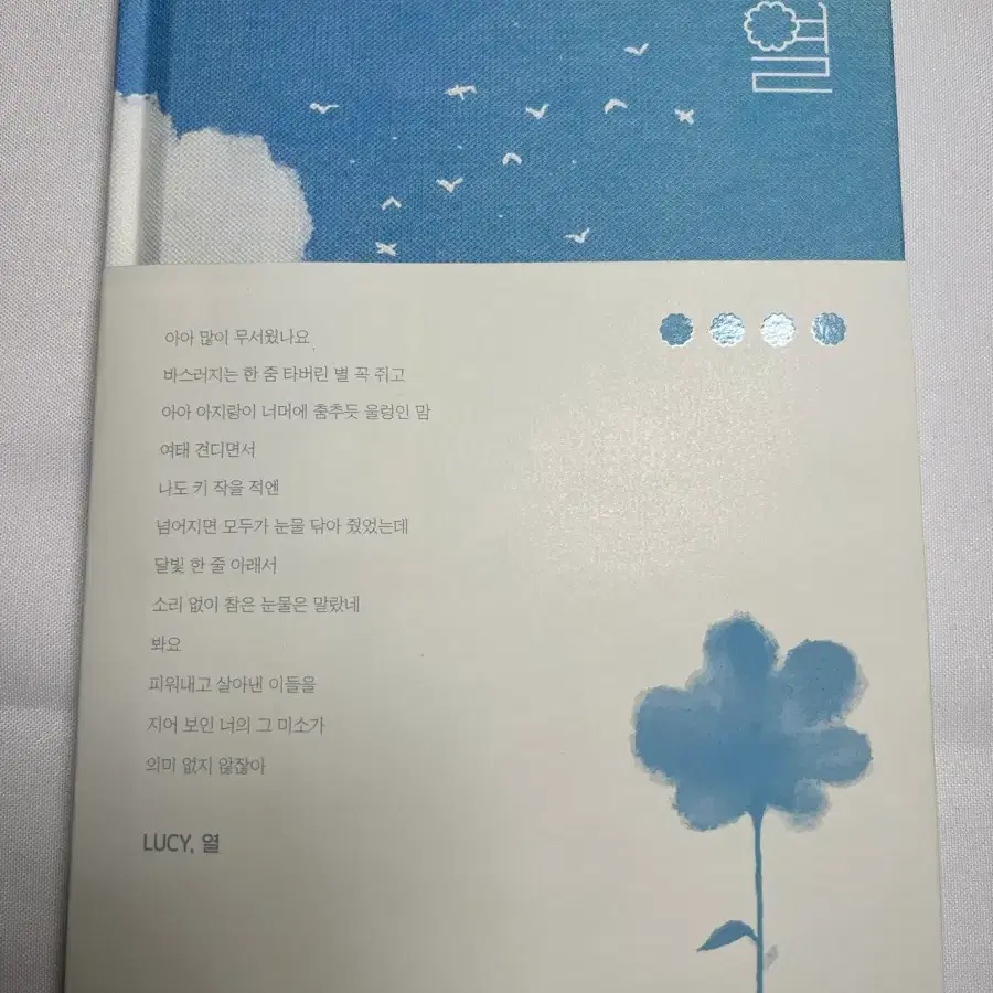 루시 열 앨범