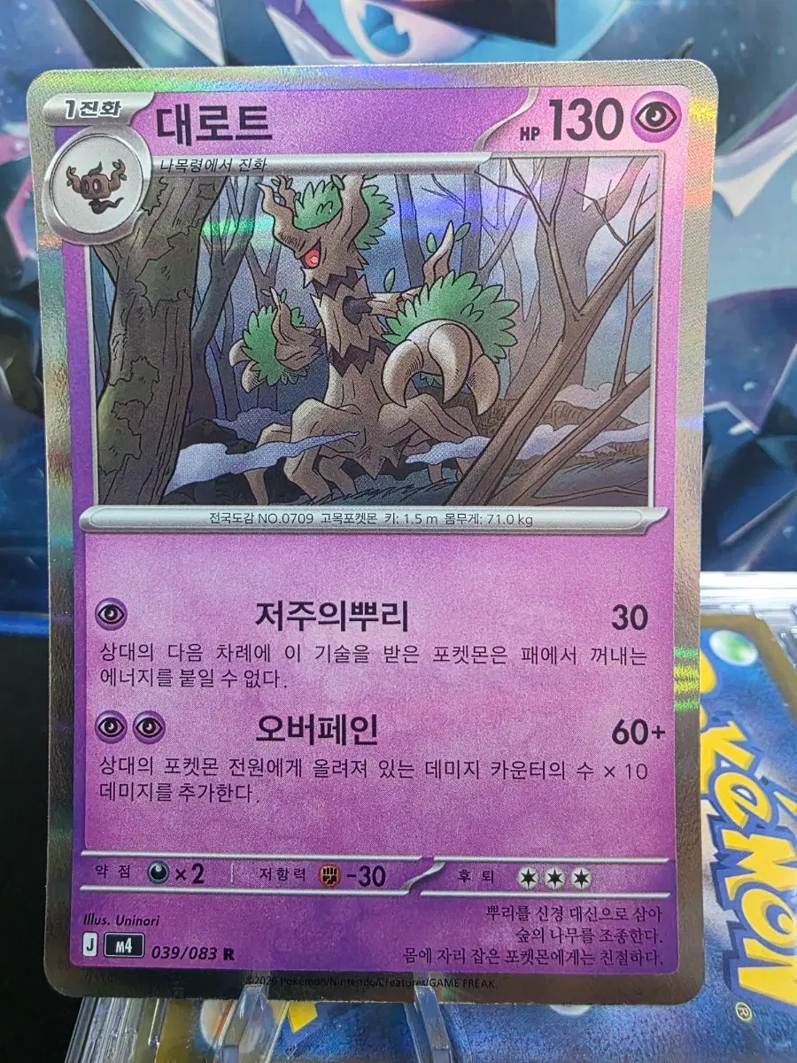 포켓몬카드 홀로 대로트