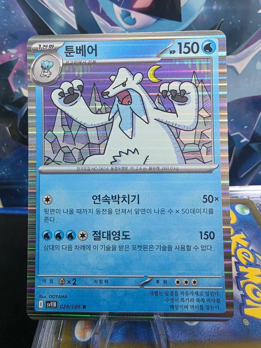 포켓몬카드 홀로 툰베어