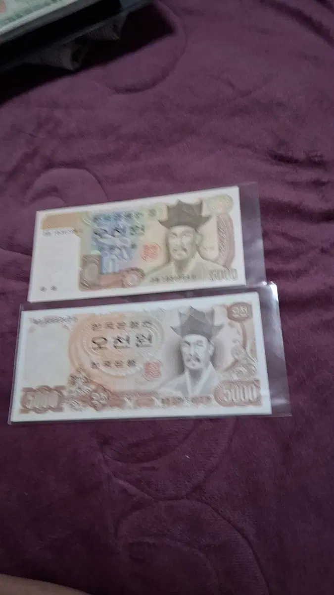 오천원권 지폐 2장