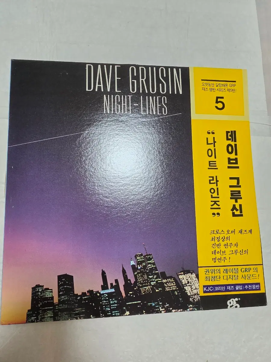 데이브 그루신 NIGHT-LINES LP