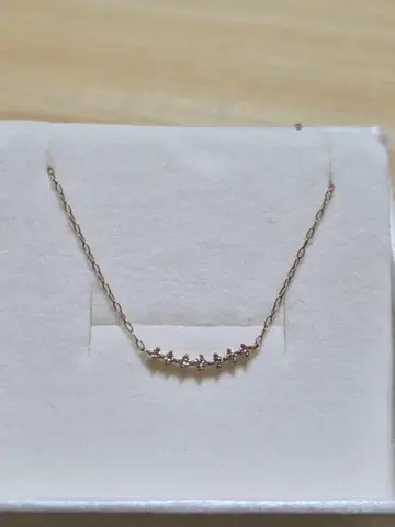 K10PG 목걸이
