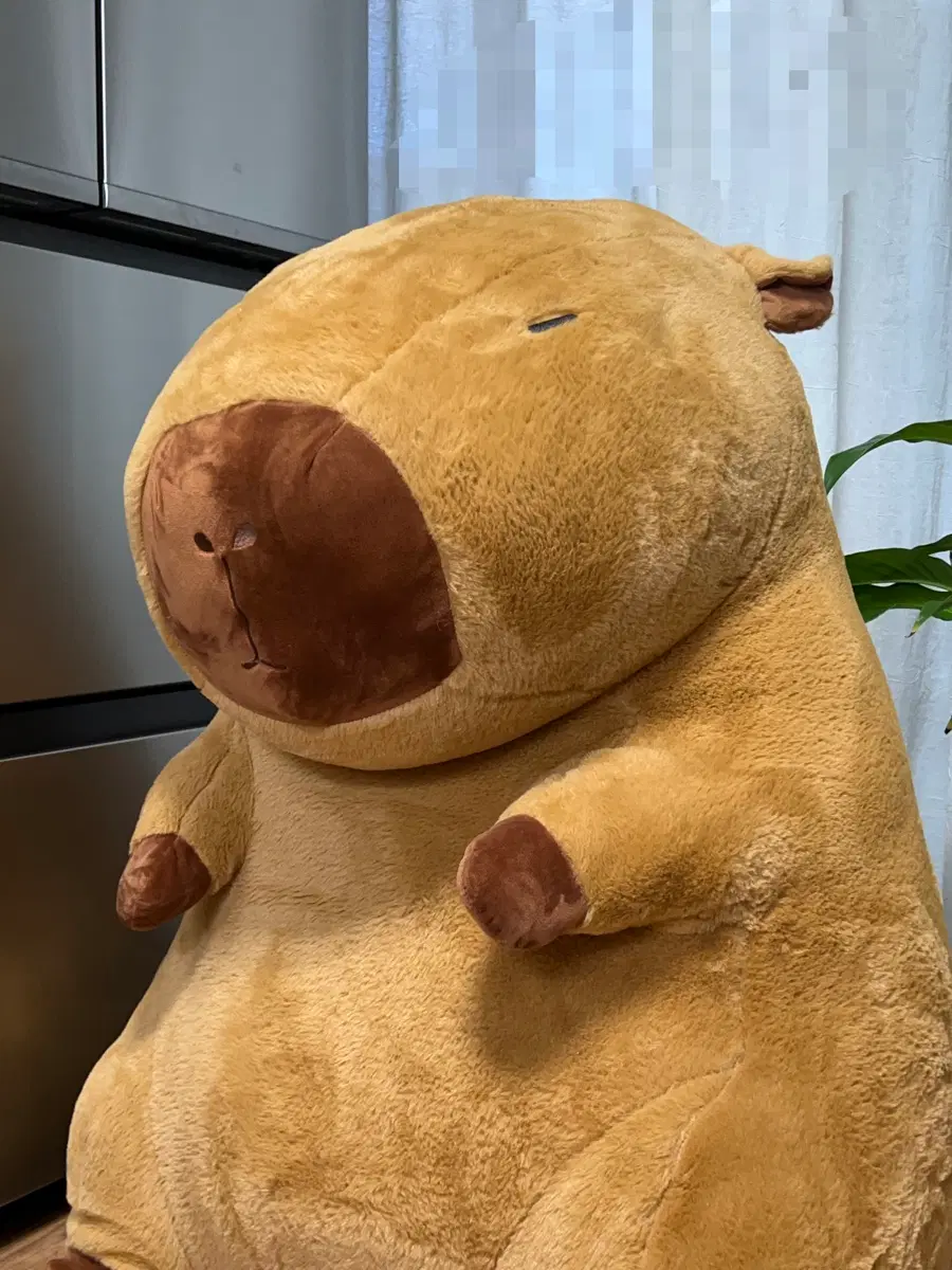 카피바라 인형