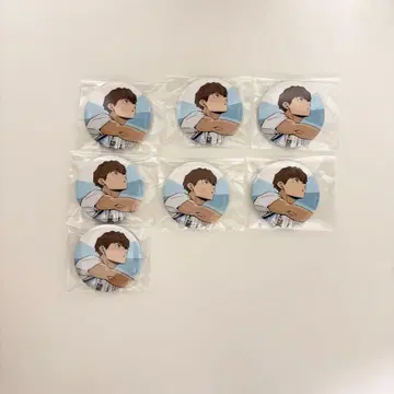 하이큐!! 히루가미 사치로