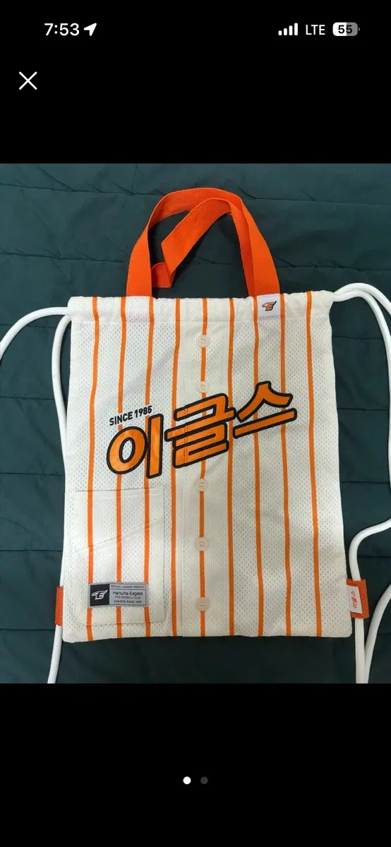 한화이글스 레전드 짐색