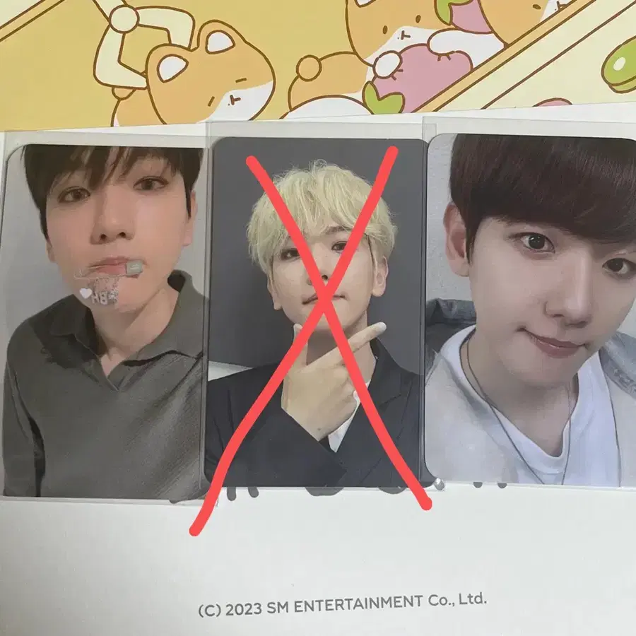 백현 터래기 생일 포카 양도