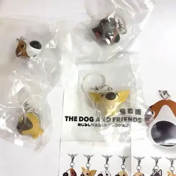 THEDOG 메지루시 액세서리 4종 세트