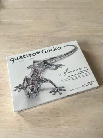 Audi quattro Gecko 프라모델