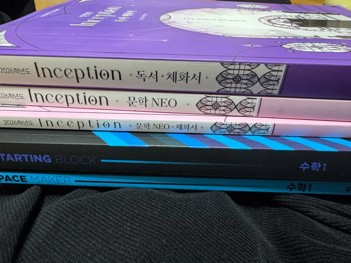 김범준스블, 페메 수1 2026대비 유대종 인셉션 문학 독서