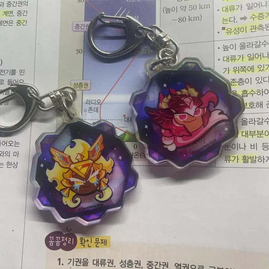 쿠키런킹덤 영혼석키링 (홀베 골치)