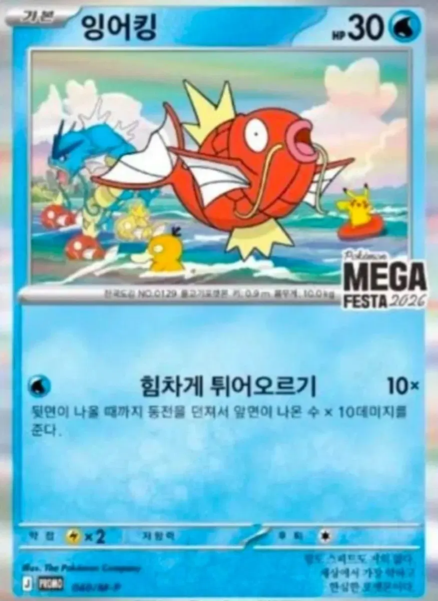 잉어킹 프로모(가격 제시)