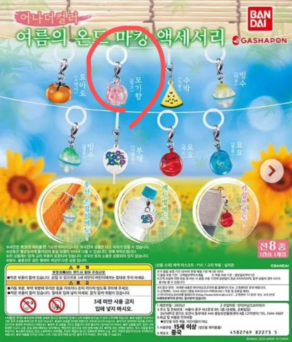 여름의 온도 마킹 액세서리 가챠 돼지