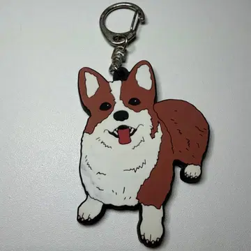 코기 봄 도둑 요루시카