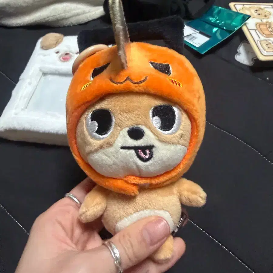 데이식스 도운 돈