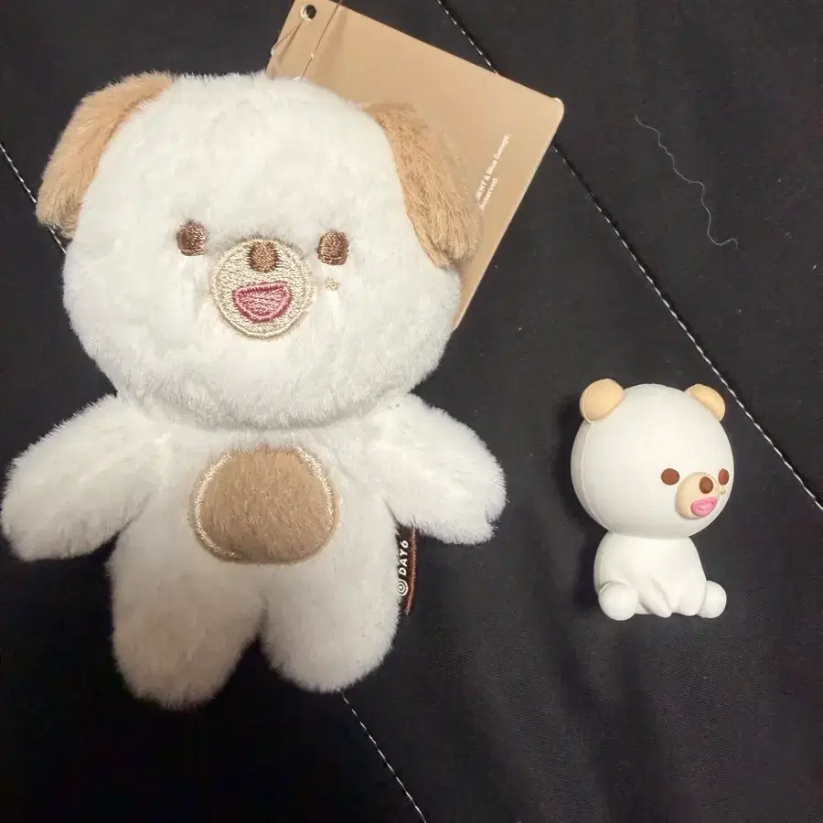 데이식스 도운 데니멀즈 (일괄가격)