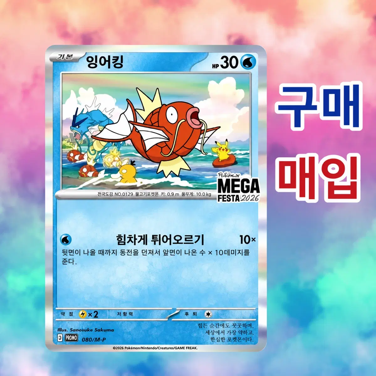 포켓몬 카드 잉어킹 MEGA FESTA 2026 PROMO 구매 매입