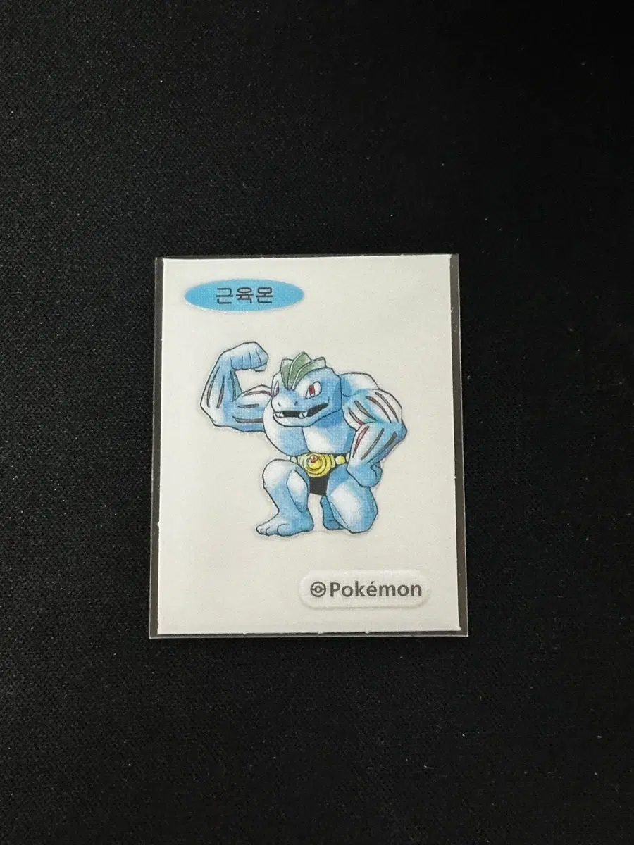 30주년 포켓몬 근육몬 띠부실