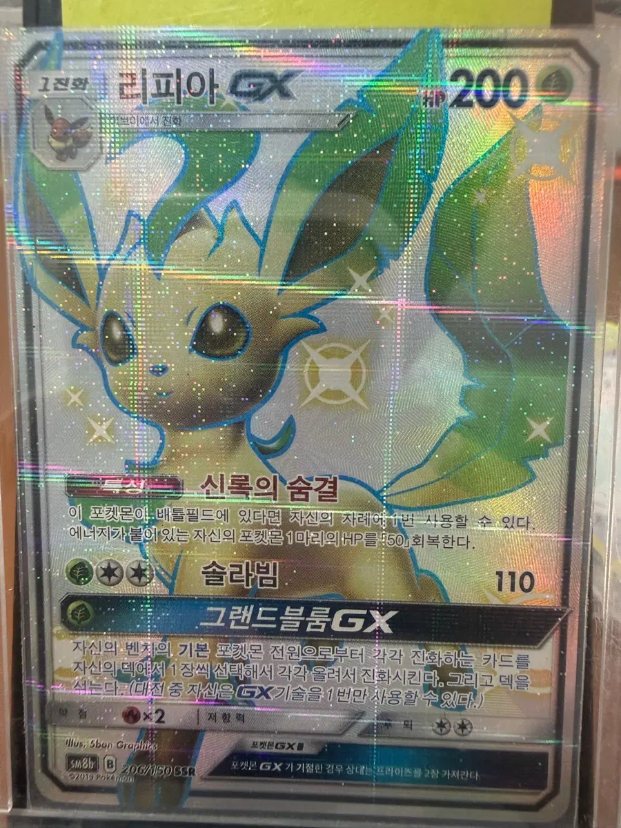 (오늘만)리피아 GX SRR 이로치