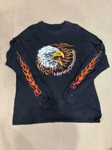 90s Harley-Davidson eagle 소매 프레임 롱티
