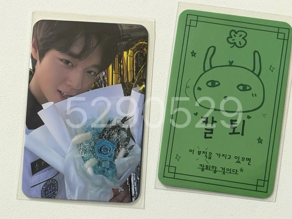 2025 박지훈 팬미팅 연시은 포카