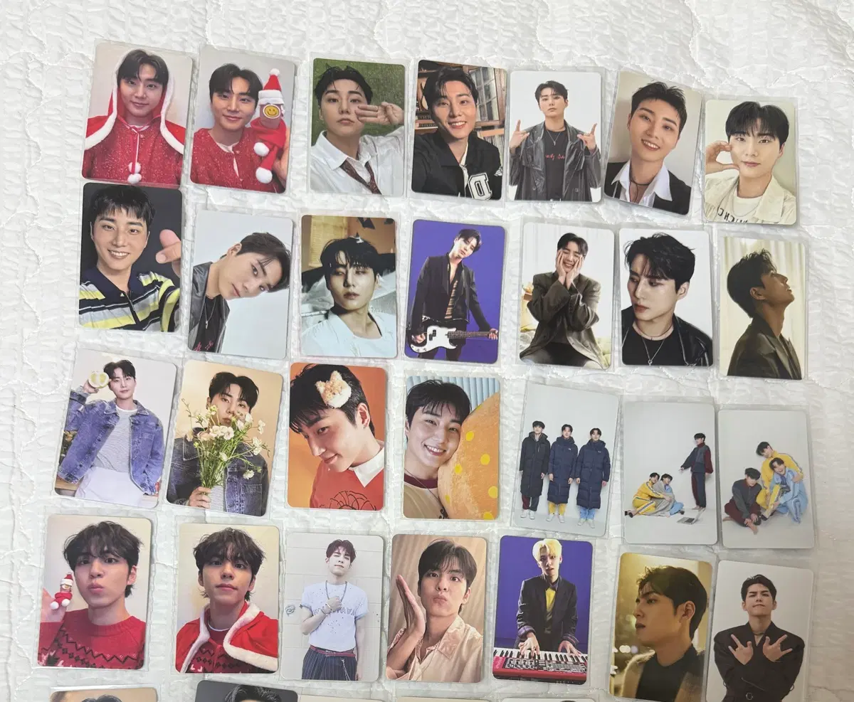 데이식스 포카 판매