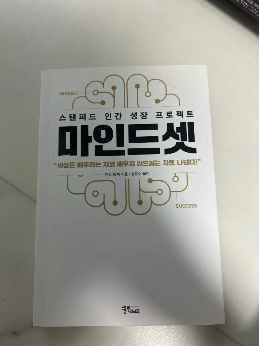 마인드셋 스탠퍼드 인간 성장 프로젝트