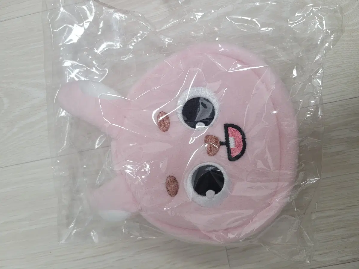 데이식스 일본 굿즈
