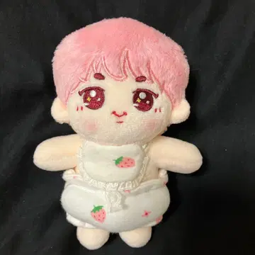 BTS 진 마스터님 봉제 인형