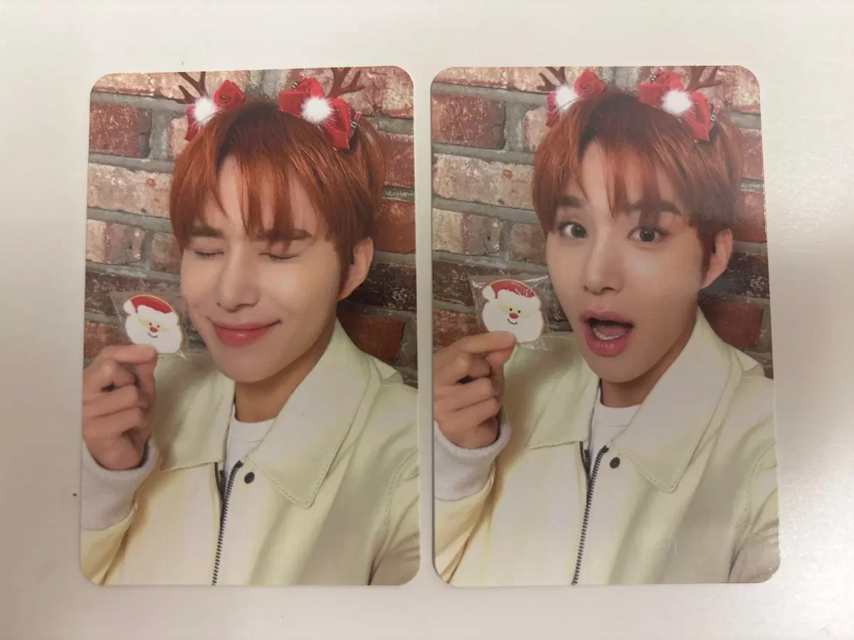 핑크크리스마스 정우