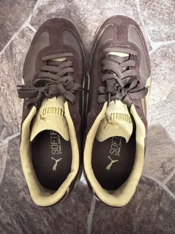 PUMA 스니커즈 브라운 골드