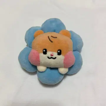 zeroni binini PLUSHBAND 플러시밴드 비니니 한빈