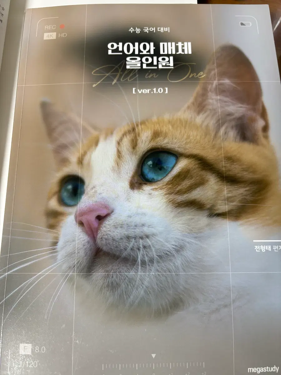 전형태 언매 올인원