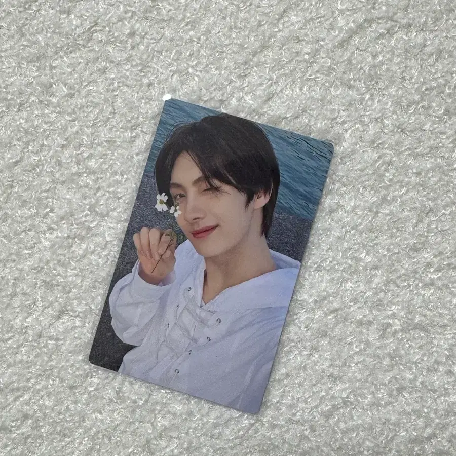 투어스 하지메마시떼 초회한정반B 영재 포카 tws