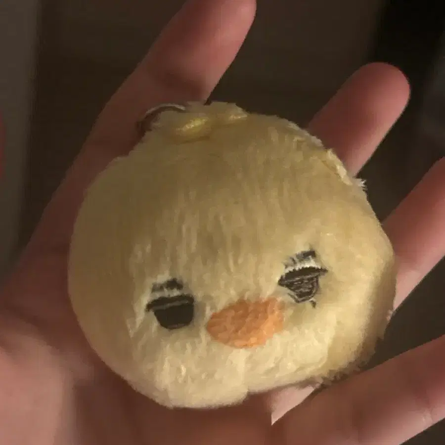 엔하이픈 니키 인형 니코야니 7cm 양도