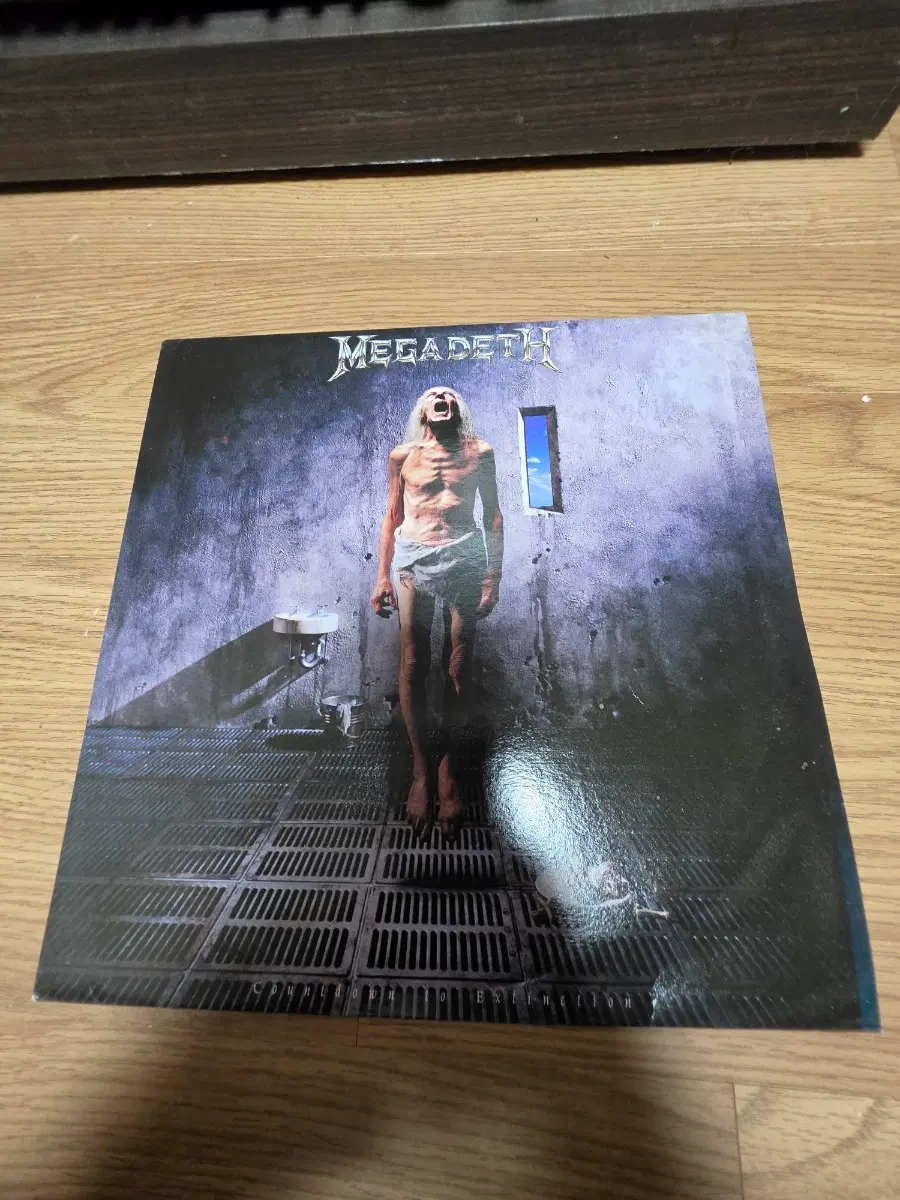 megadeth 메가데쓰 LP
