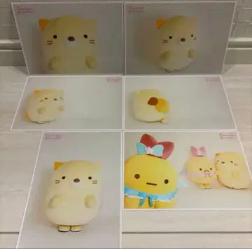 스미코구라시 브로마이드 스타다편 고양이 꼬리 모음 수주 봉제 인형 레어