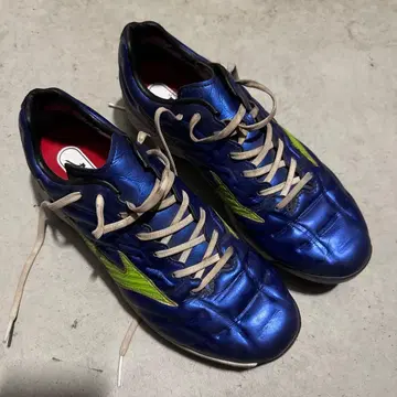 Mizuno 레보프로 29cm 인솔 포함
