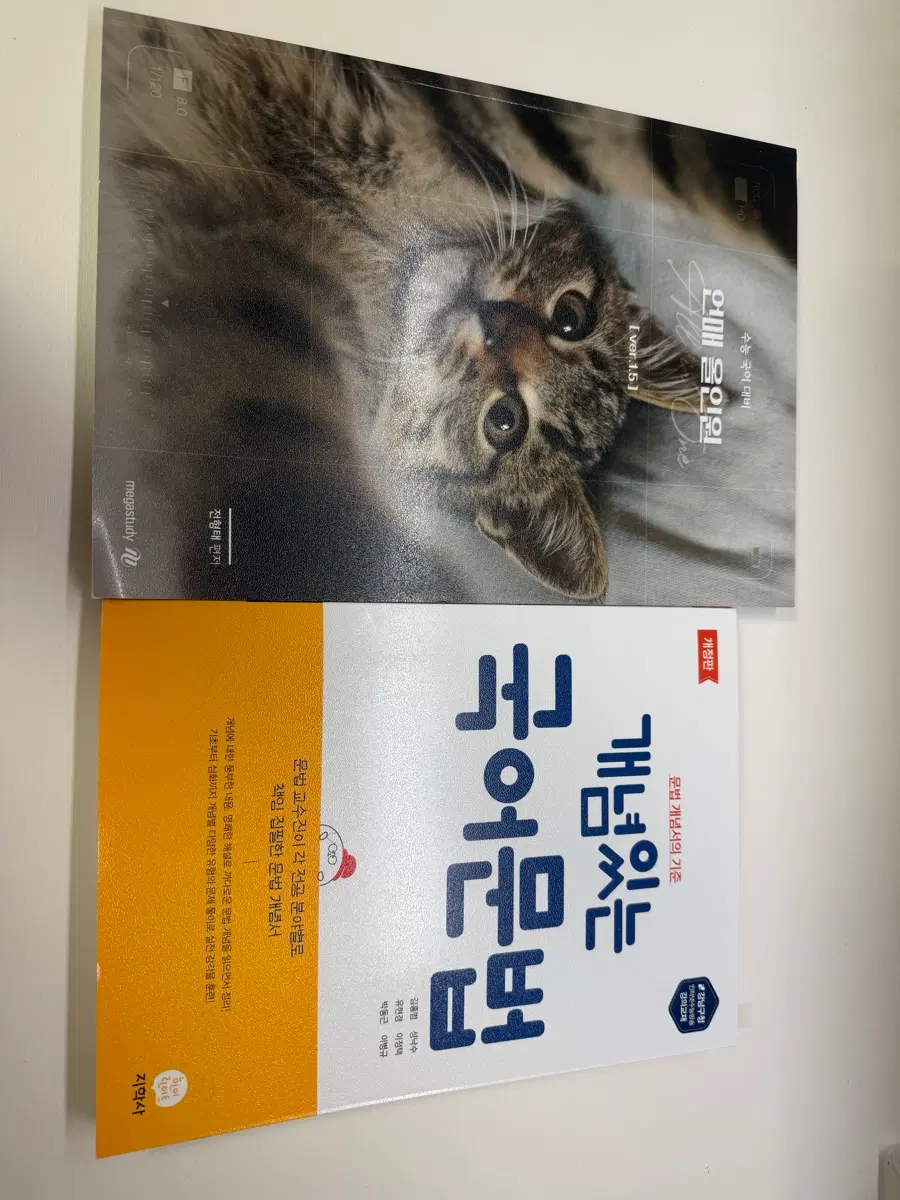 메가스터디 전형태 언매올인원 2027