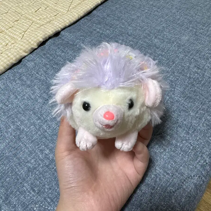 어뮤즈 고슴도치 인형 판매중