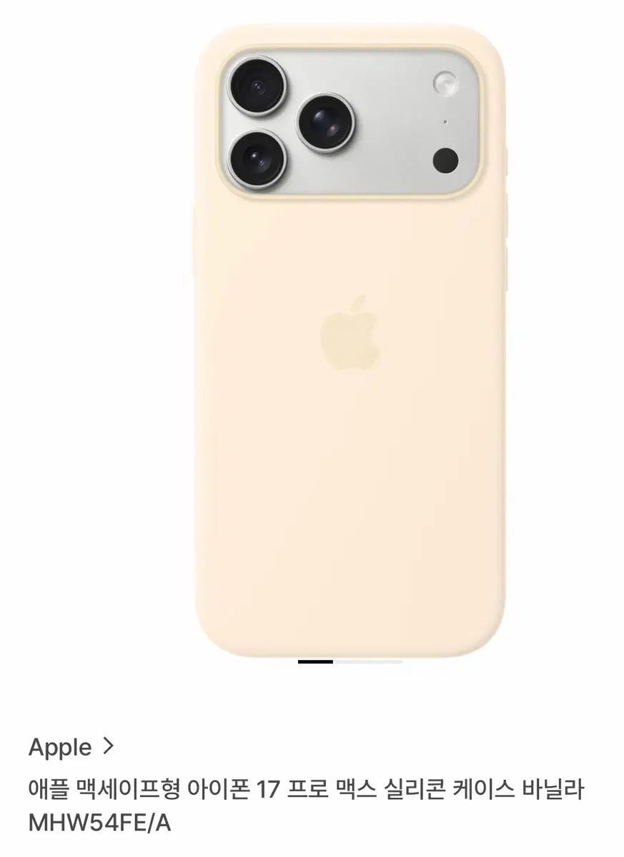 아이폰17pro max 케이스