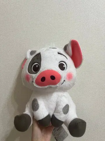 모아나와 전설의 바다 FukuFuku 초 BIG 봉제 인형 ~푸아~
