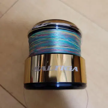 SLP WORKS 20 솔티가 8000 스풀