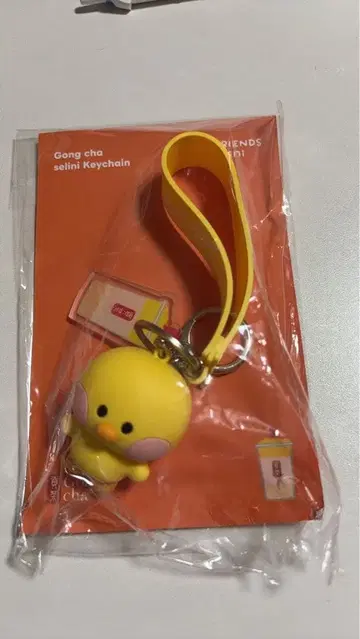 공차 키링 LINE FRIENDS