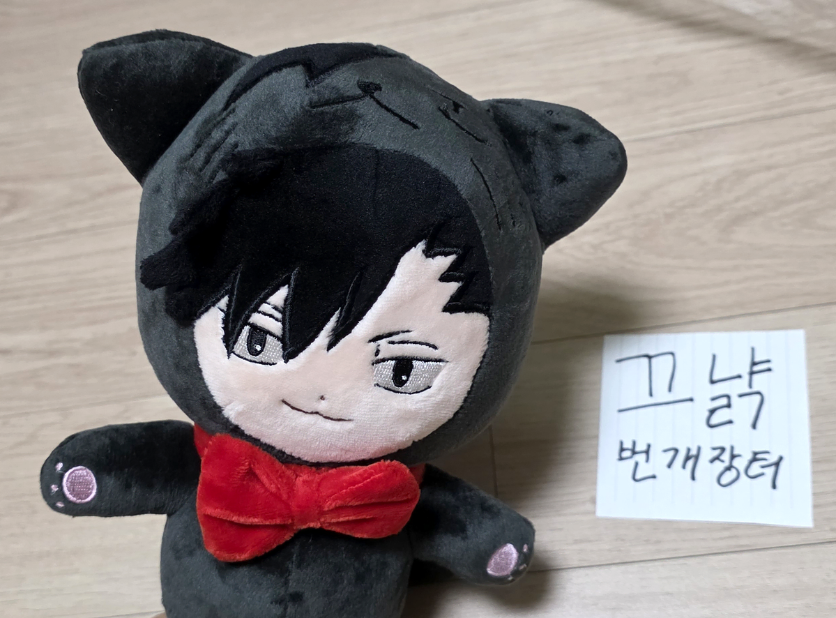 하이큐 쿠로오 테츠로 비공식 20센치 인형