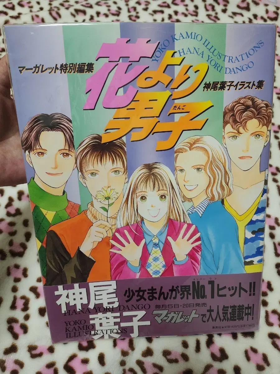 꽃보다 남자 일러스트집